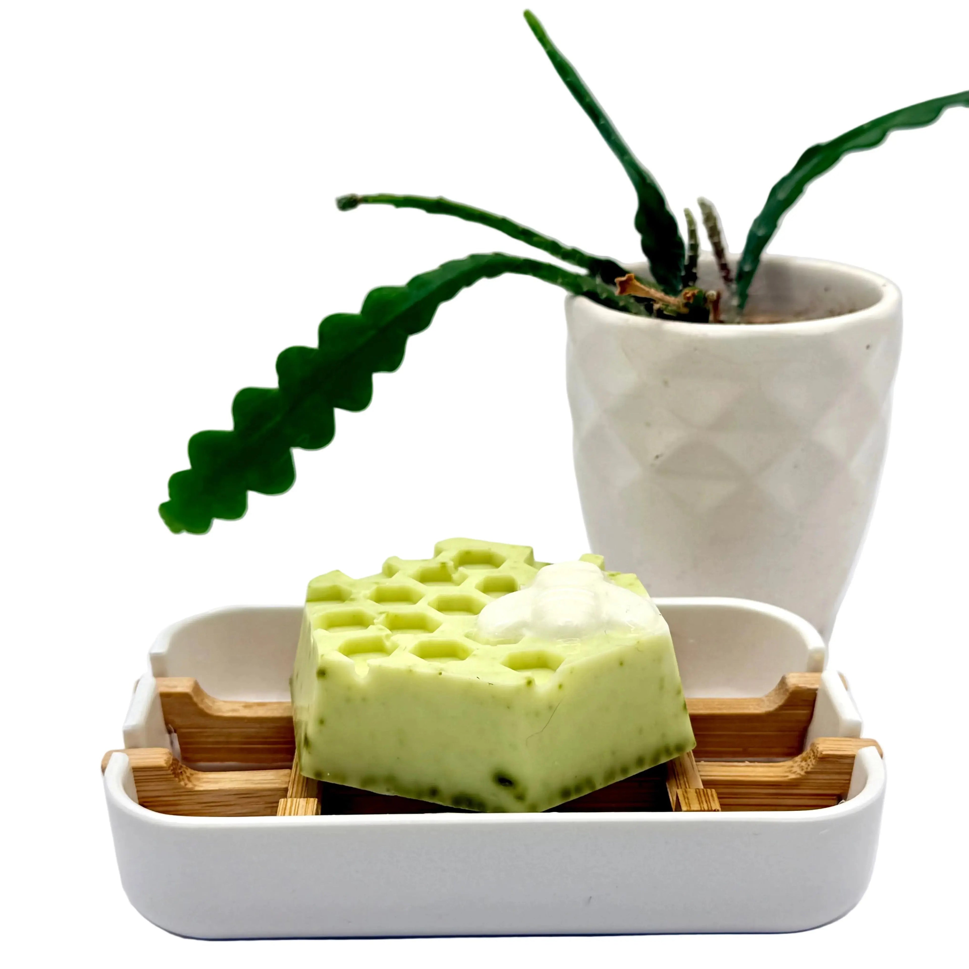 Bee Goat Milk Honeycomb Soaps