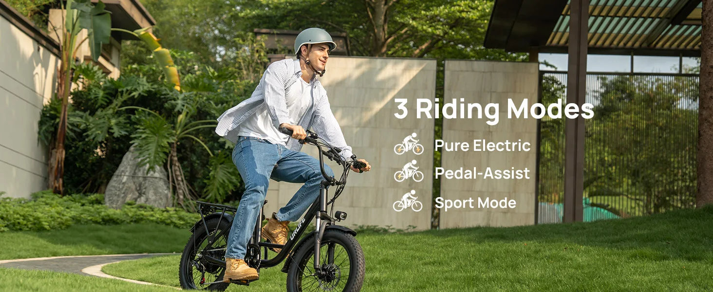 URLIFE 1000W E20 Electric Bike | 48V 13Ah Removable Battery, 28MPH, 20"x3" Fat Tire, 7-Speed E-Bike with Dual Disc Brake